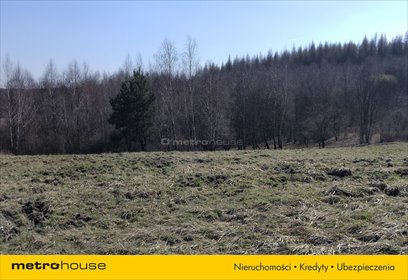Działka budowlana na sprzedaż Zawiercie, Jurajska 25 700m2 Foto 2