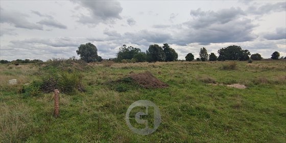 Polecam działkę budowlaną 1964 m² w Jeżykach - spokojna okolica działka Jeżyki