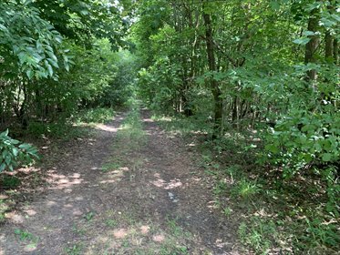 działka na sprzedaż 1000m2 działka Albertów, Albertów