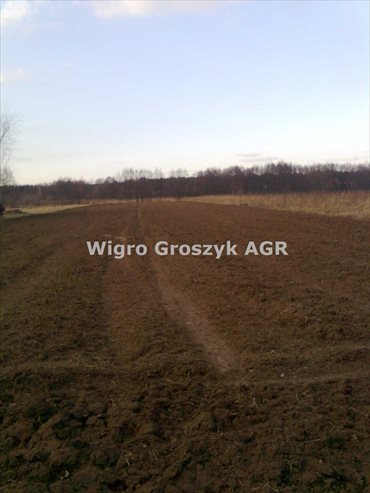 działka na sprzedaż 3600m2 działka Czeczotki