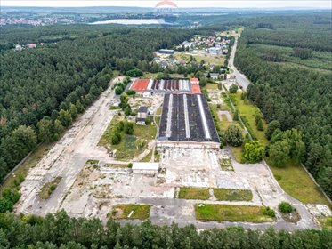 działka na sprzedaż 80100m2 działka Chodzież, Marcina Kasprzaka