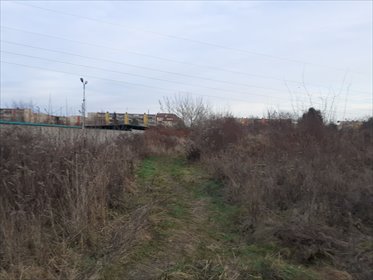 działka na sprzedaż 4972m2 działka Zgierz, Krogulec, Staffa