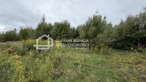 Polecam działkę 4000 m² na wynajem w Gdyni Wiczlino działka Gdynia, Wiczlino