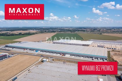 Wynajmę magazyn 15 000 m² z biurem w Robakowie lokal użytkowy Robakowo, ul. Żernicka