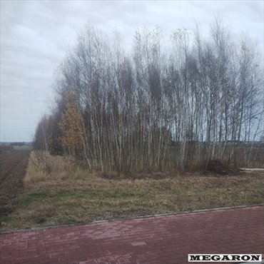 Zapraszam do obejrzenia działki 8 948 m² z mediami i potencjałem budowlanym działka Miedźno