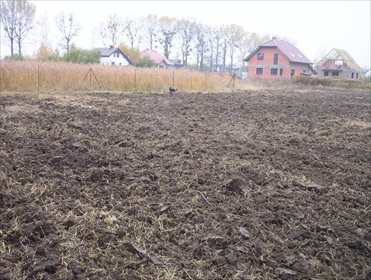 działka na sprzedaż 3000m2 działka Szewce