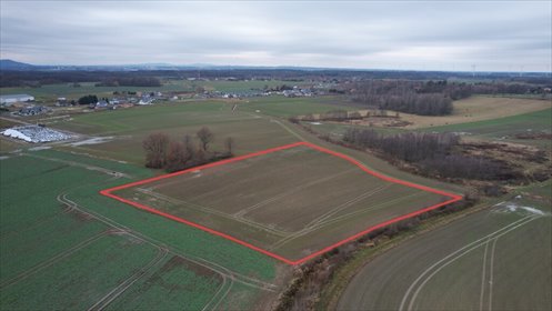 działka na sprzedaż 7302m2 działka Trójca