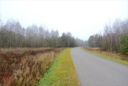 Działka inwestycyjna na sprzedaż Cierpisz 25 000m2 Foto 5
