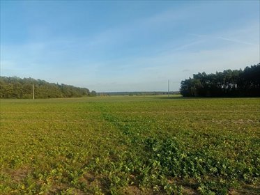 działka na sprzedaż 1000m2 działka Godziesze Wielkie, Skrzatki