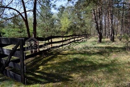 Bukowiny - działa na sprzedaż działka Bukowiny, Bukowiny