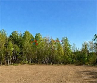 Działka budowlana 2088 m² w Runowie, media, las działka Runów