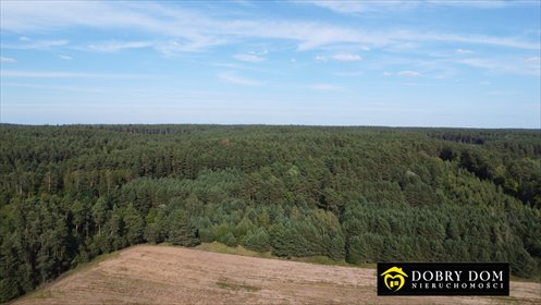 Polecam działkę 8 400 m² z warunkami na 3 domy w Chrabołach działka Chraboły