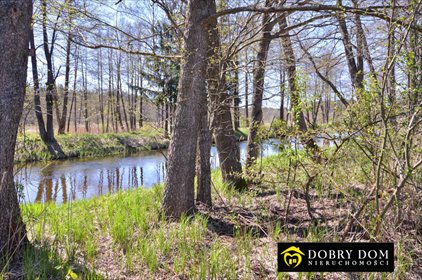 działka na sprzedaż 3200m2 działka Rygol