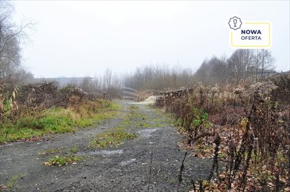 działka na wynajem 31000m2 działka Rząska, Sucha