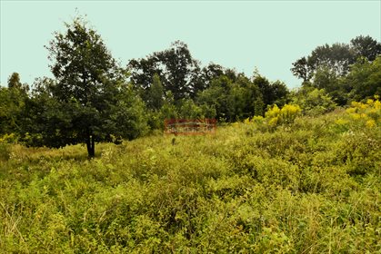 działka na sprzedaż 5800m2 działka Sułków