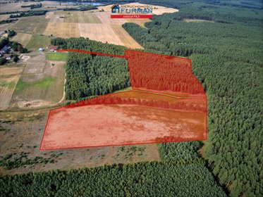 Sprzedam działkę 75,5 ha z lasem i gruntami rolnymi działka Łomnica