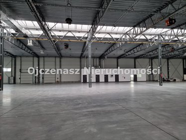 lokal użytkowy na wynajem 4828m2 lokal użytkowy Bydgoszcz, Bydgoski Park Przemysłowy