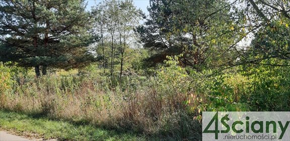 działka na sprzedaż 5464m2 działka Kaliszki