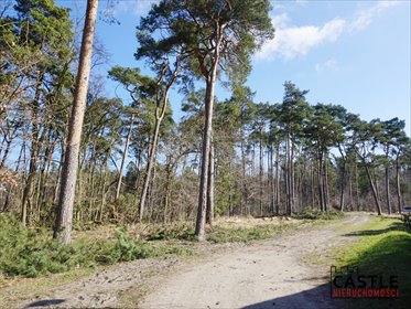 mieszkanie na sprzedaż 55m2 mieszkanie Jantar, Rybacka