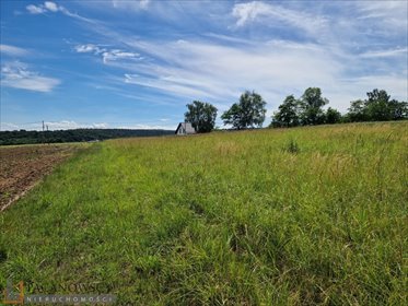 działka na sprzedaż 1750m2 działka Michałowice