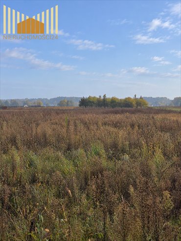 działka na sprzedaż 19965m2 działka Sierzchów