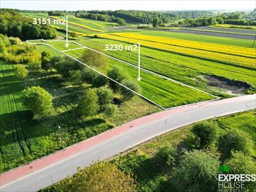 działka na sprzedaż 6381m2 działka Nałęczów, Bochotnica, Sędziego Michała Tarki