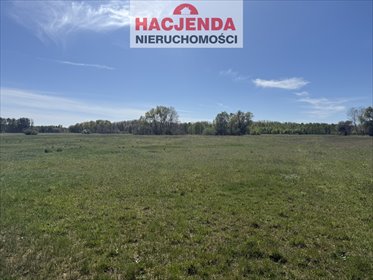 działka na sprzedaż 9800m2 działka Wieńkowo