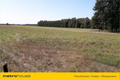 Działka rolna na sprzedaż Drupia, Skórzec 1 314m2 Foto 6