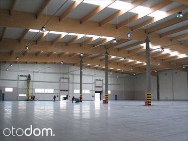 lokal użytkowy na wynajem 2800m2 lokal użytkowy Zagnańsk