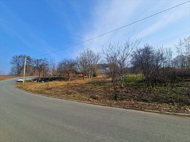 działka na sprzedaż 975m2 działka Krostoszowice, Wspólna