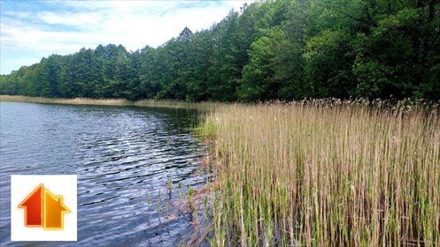 działka na sprzedaż 9879m2 działka Sejny (gw)