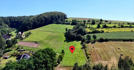 Polecam działki 1252 i 1643 m² w Pławnej z WZ, dostępem do mediów działka Pławna