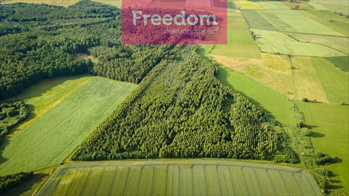 Działka leśna na sprzedaż Parys 93 000m2 Foto 6
