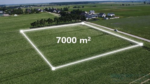 Działka 7000 m² pod osiedle domów z MPZP i mediami - zapraszam działka Markowice
