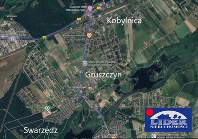dom na sprzedaż 220m2 dom Gruszczyn