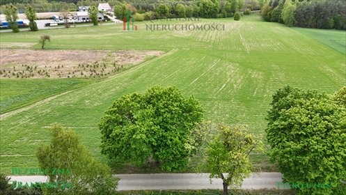 działka na sprzedaż 4572m2 działka Borzechowo, Leśna