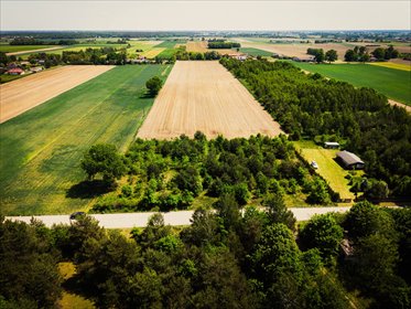 Łaznowska Wola - duża działka w małej cenie działka Łaznowska Wola, Słoneczna