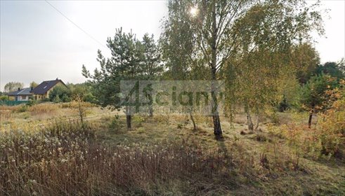 działka na sprzedaż 1387m2 działka Sieraków