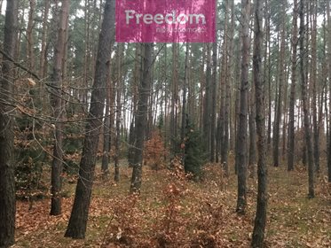 Działka budowlana na sprzedaż Kuleszówka, Cicha 2 066m2 Foto 4