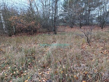 działka na sprzedaż 1118m2 działka Stara Wieś