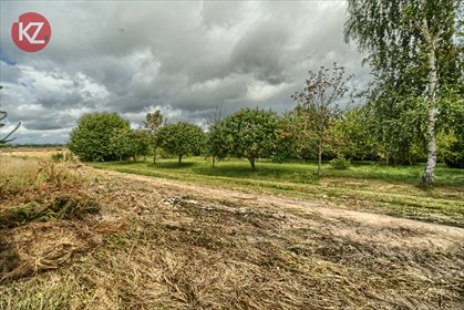 Do sprzedania działka 2957 m² z warunkami zabudowy i lasami działka Sypniewo