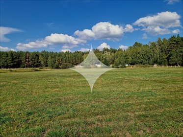 działka na sprzedaż 8022m2 działka Krynickie