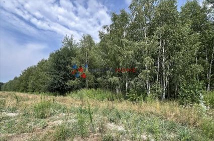 Działka 3324 m² w cichej okolicy Chylic z dostępem do drogi działka Chylice