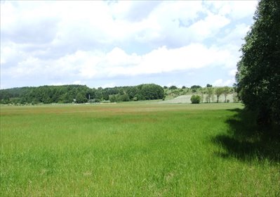 działka na sprzedaż 690m2 działka Sąsieczno, Miszek, Juliusza Słowackiego