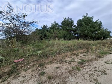 Działka budowlana 1103 m² w Łochowie - media w drodze działka Łochowo
