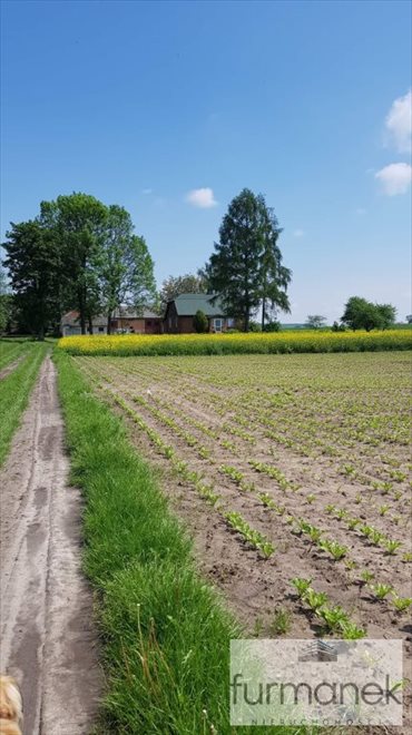 Dom na sprzedaż Elizówka 100m2 Foto 4
