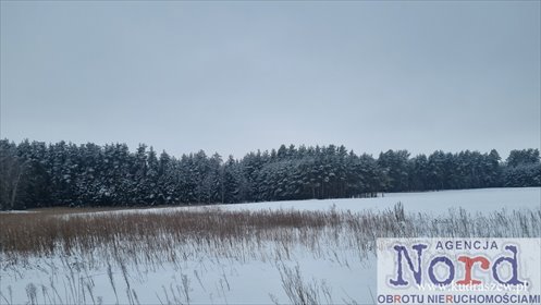 działka na sprzedaż 1000m2 działka Augustów, Rajgrodzka