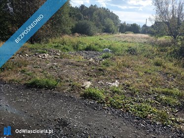 Do sprzedania działka 3300 m² w malowniczym zakątku Skoczowa działka Skoczów, Dolny Bór, Dolny Bór