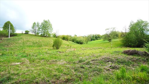 Działka rolna 1300 m² z dostępem do mediów i przy drodze działka Ropica Polska