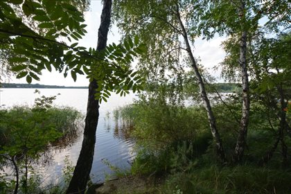 Działka rekreacyjna na sprzedaż Dąbrowa Górnicza, Pogoria 2 433m2 Foto 2
